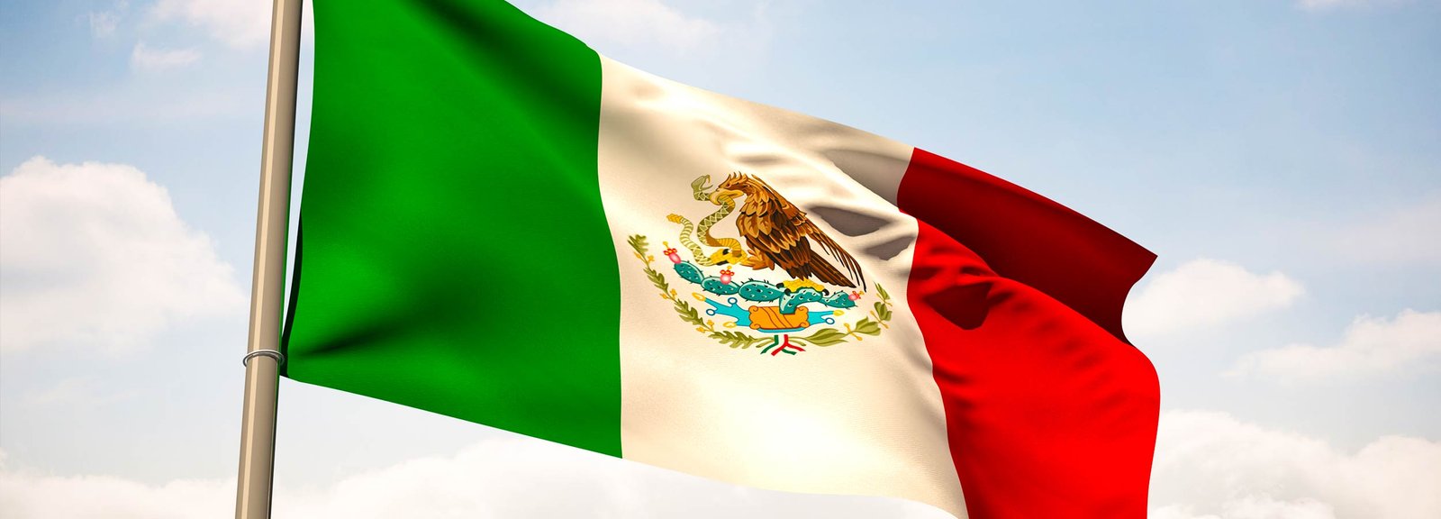 Mexican Flag Waving Banner